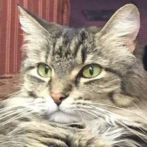 Meet your Posher, Daniela